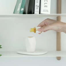 画像2: 生活の木 シトラスコレクション エッセンシャルオイル 30mL Tree Of Life Citrus Collection Essential Oil 30mL (2)