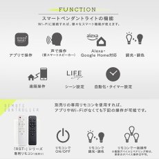 画像4: Edison Smart（エジソンスマート）ペンダントライト ダクトレール用/引っ掛けシーリング用 ホワイト/ブラック Edison Smart Pendant Light Lighting Rail/Ceiling Hook/White/Black RST-PL01BKRST-PL02WHRST-PL02BK (4)