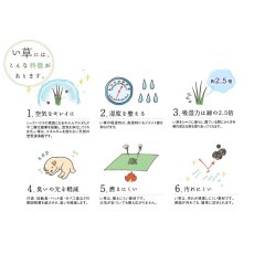 画像5: 国産い草100％ ユニット畳 あぐら 置き畳 6枚セット Igusa Unit Tatami Agura 6 Pieces Set (5)
