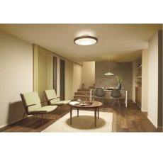画像3: 大光電機 LEDシーリングライト 12畳 調光/調色 Daiko Denki LED Ceiling Light (3)