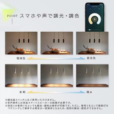 画像5: Edison Smart（エジソンスマート）ペンダントライト ダクトレール用/引っ掛けシーリング用 ホワイト/ブラック Edison Smart Pendant Light Lighting Rail/Ceiling Hook/White/Black RST-PL01BKRST-PL02WHRST-PL02BK (5)