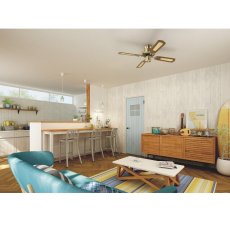 画像3: 大光電機 シーリングファン CSF-082 DAIKO DENKI Ceiling Fan CSF-082 (3)