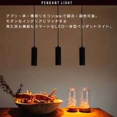 画像2: Edison Smart（エジソンスマート）ペンダントライト ダクトレール用/引っ掛けシーリング用 ホワイト/ブラック Edison Smart Pendant Light Lighting Rail/Ceiling Hook/White/Black RST-PL01BKRST-PL02WHRST-PL02BK (2)