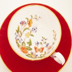 画像3: エインズレイ コテージガーデン ティーカップ & ソーサー オーバン Aynsley Cottage Garden Tea Cup & Saucer Oban (3)