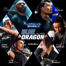画像5: HALEO プロテインドリンク 抹茶ラテ風味 200ml x 24本 HALEO BLUE DRAGON Protein Drink Matcha Latte 200ml x 24 packs (5)