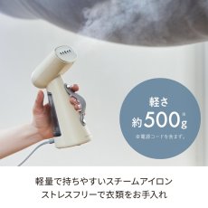 画像2: レコルト スチームアイロン RSI-1(BL) RECOLT Steam Iron RSI-1(BL) (2)