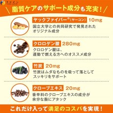 画像5: カロリー気にならないサプリ 脂質専用 90粒 DIET SUPPORT SUPPLEMENT (5)