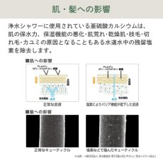 画像5: SANEI（サンエイ） ウルトラファインバブル 浄水ミストシャワーヘッド PS7010CD SANEI Ultra Fine Bubble Misting Shower Head PS7010CD (5)