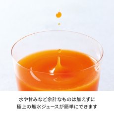 画像4: レコルト コールドプレスジューサー ミニ RCJ-1 RECOLT Coldpress Juicer Mini RCJ-1 (4)