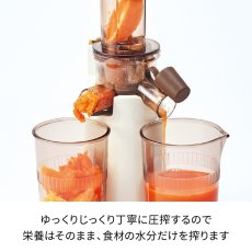 画像3: レコルト コールドプレスジューサー ミニ RCJ-1 RECOLT Coldpress Juicer Mini RCJ-1 (3)