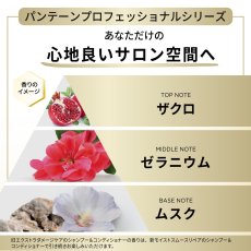 画像4: パンテーン ダメージリペア プロフェッショナル コンディショナー 2000g Pantene Damage Repair Professional Conditioner 2000g (4)