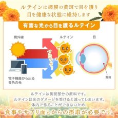 画像5: 機能性表示食品 ひとみの恵®ルテイン40 60粒 LUTEIN 40MG 60CT (5)