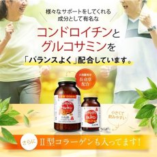 画像4: コンドロイチン＆グルコサミン100日分 FINE GLUCOUSAMINE 1500CT (4)