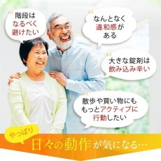 画像3: コンドロイチン＆グルコサミン100日分 FINE GLUCOUSAMINE 1500CT (3)