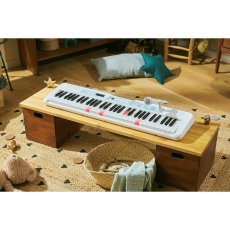 画像4: カシオ 61鍵電子キーボード LK-335 CASIO D/PIANO LK-335 (4)
