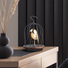 画像3: ダキコンセプト ジングーエス LED照明＆Bluetoothスピーカー フェニックス Daqiconcept JINGOOs Bluetooth Speaker (3)