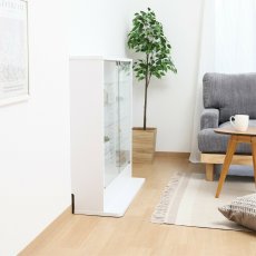 画像3: コレクションラック TOR ロータイプミラー付き Collection Rack TOR Low Type with Mirror (3)