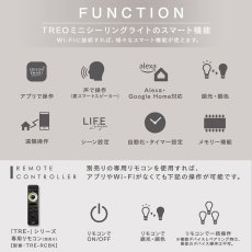 画像4: Edison Smart(エジソンスマート) TREOミニシーリングライト Edison Smart TREO mini Ceiling Light (4)