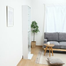 画像4: コレクションラック TOR ハイタイプミラー付き Collection Rack TOR High Type with Mirror (4)