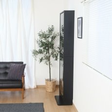 画像2: コレクションラック TOR ハイタイプ Collection Rack TOR High Type (2)