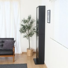 画像3: コレクションラック TOR ハイタイプミラー付き Collection Rack TOR High Type with Mirror (3)